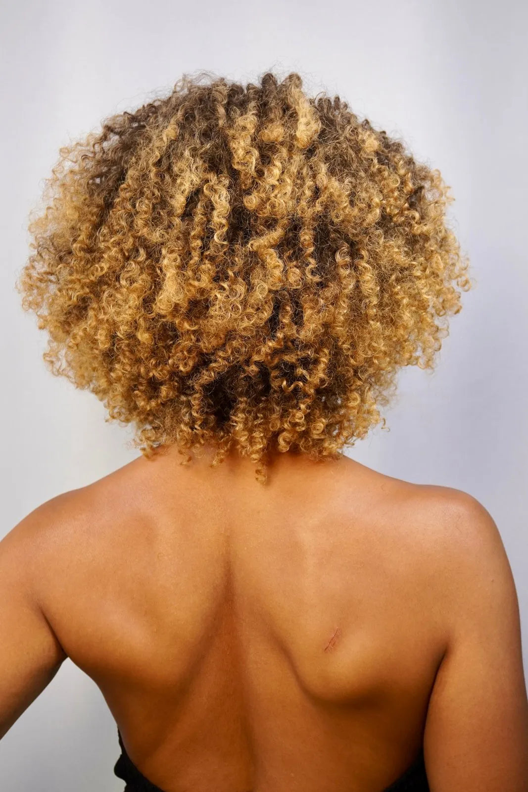 Bio Fiber Wig Isaura, color T2/27