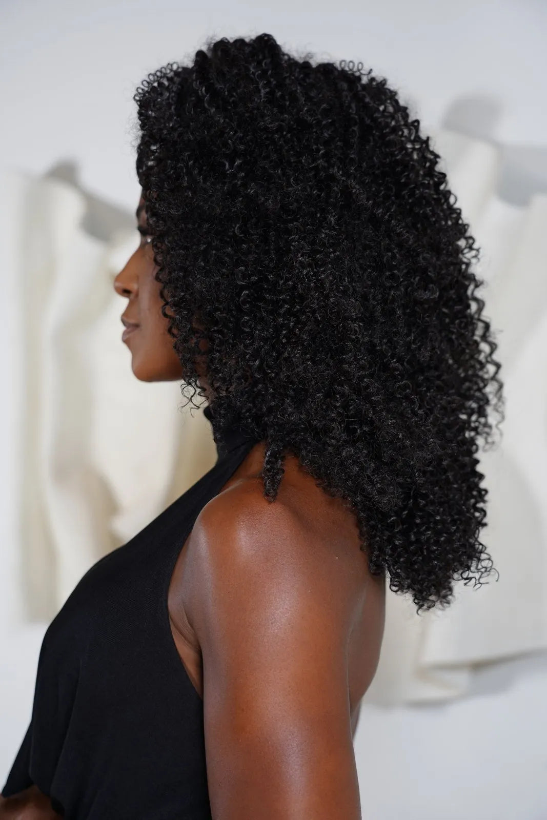 Wig Premium Verônica cor 2