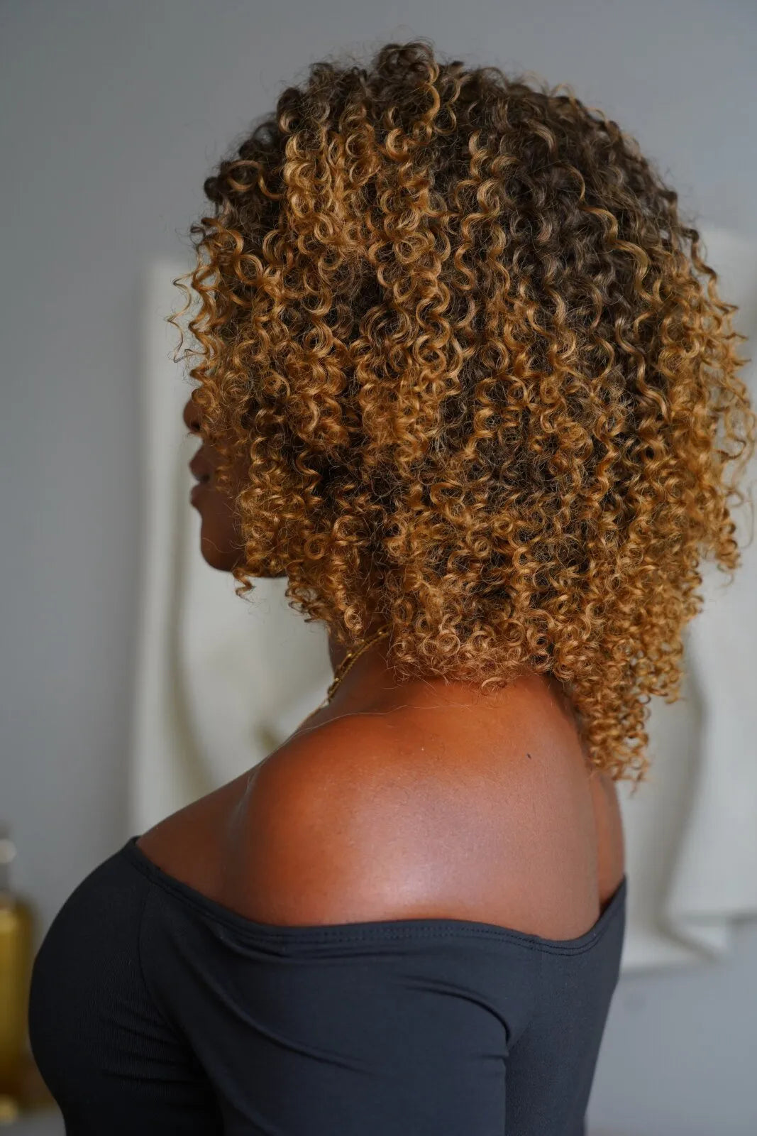 Nimiane Bio Fiber Wig color T2/27